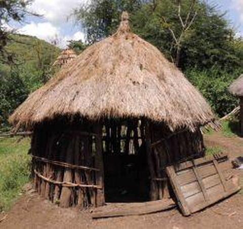 Songa
